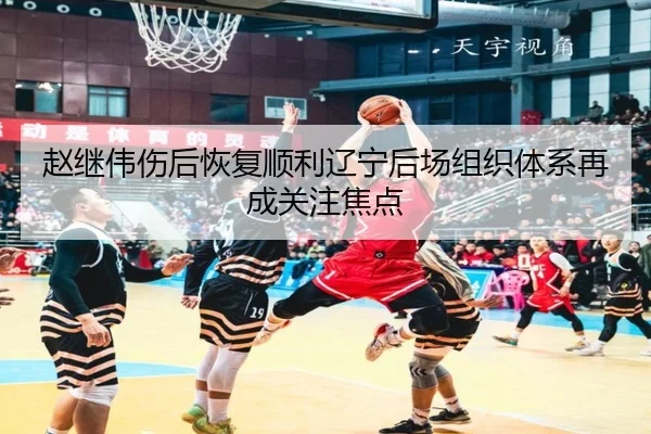 赵继伟伤后恢复顺利辽宁后场组织体系再成关注焦点
